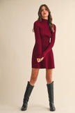 Mistletoe Sweater Dress