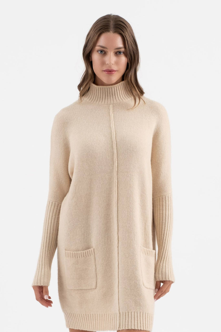 Cozy Sweater Dress